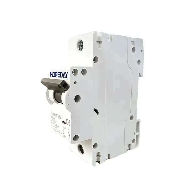 Breaker Dc -1p-250v-80a-125a Moreday
